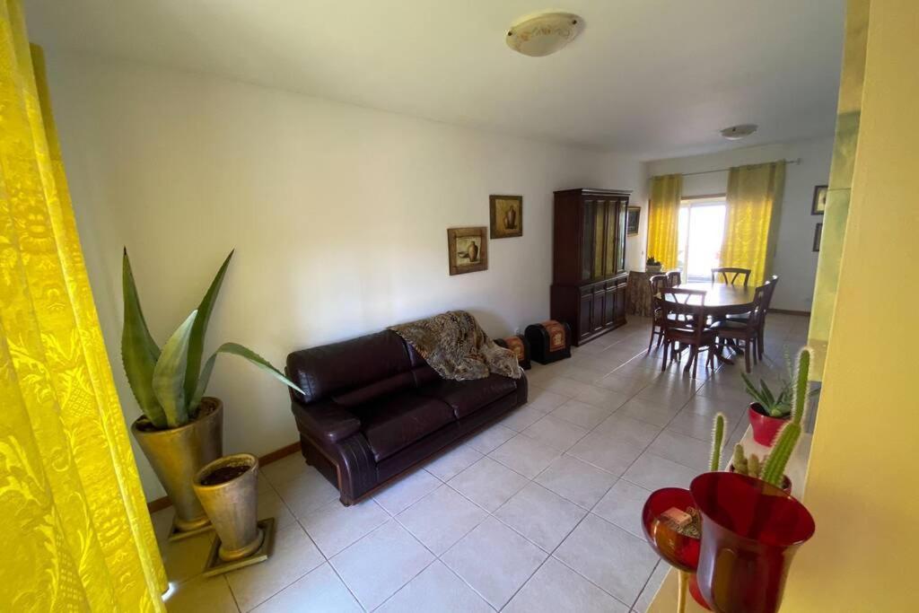 Casa Petroleiro Apartment Albergaria-a-Velha Luaran gambar