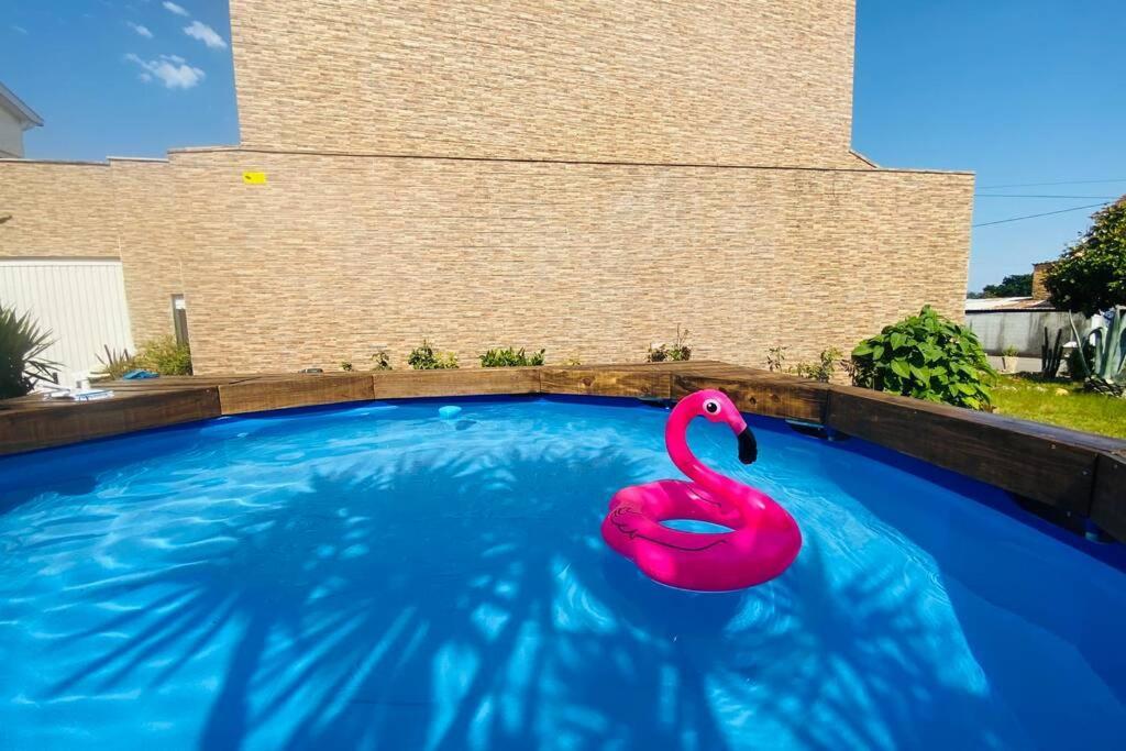 Casa Petroleiro Apartment Albergaria-a-Velha Luaran gambar