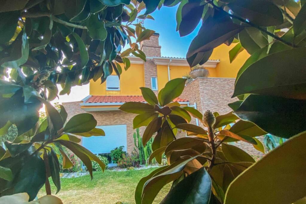 Casa Petroleiro Apartment Albergaria-a-Velha Luaran gambar