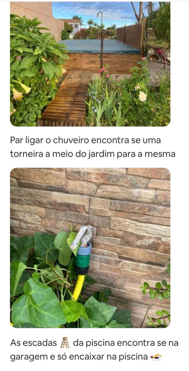 Casa Petroleiro Apartment Albergaria-a-Velha Luaran gambar